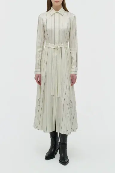 Gabriela Hearst Galway Shirtdress in Multi Pinstripe Silk Twill | Thumbnail 2 Gabriela Hearst Galway Shirtdress in Multi Pinstripe Silk Twill | Thumbnail 2
