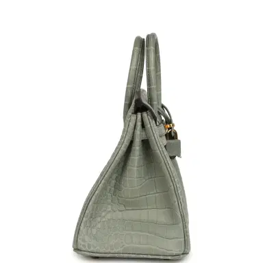 HERMÈS Hermes Birkin 25 Gris Ciment Matte Porosus Crocodile Gold Hardware | Thumbnail 3 HERMÈS Hermes Birkin 25 Gris Ciment Matte Porosus Crocodile Gold Hardware | Thumbnail 3