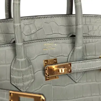 HERMÈS Hermes Birkin 25 Gris Ciment Matte Porosus Crocodile Gold Hardware | Thumbnail 7 HERMÈS Hermes Birkin 25 Gris Ciment Matte Porosus Crocodile Gold Hardware | Thumbnail 7
