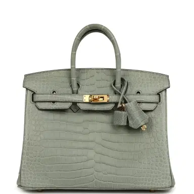 HERMÈS Hermes Birkin 25 Gris Ciment Matte Porosus Crocodile Gold Hardware | Thumbnail 1 HERMÈS Hermes Birkin 25 Gris Ciment Matte Porosus Crocodile Gold Hardware | Thumbnail 1
