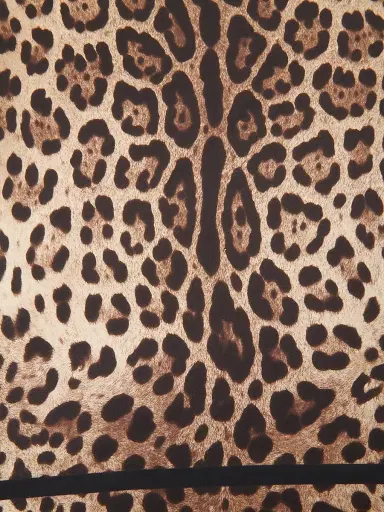 Dolce & Gabbana Women's Leopard-Print Silk Foulard - Leopard | Thumbnail 2 Dolce & Gabbana Women's Leopard-Print Silk Foulard - Leopard | Thumbnail 2