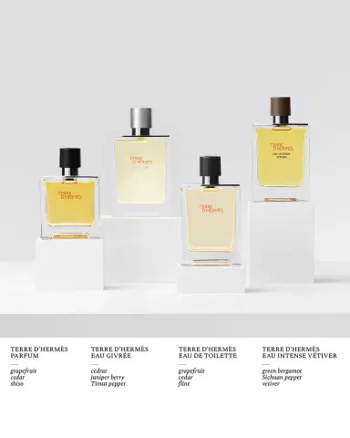 Hermes Terre d'Hermès Eau Givrée Eau de Parfum Refill, 5.8 oz. | Thumbnail 4 Hermes Terre d'Hermès Eau Givrée Eau de Parfum Refill, 5.8 oz. | Thumbnail 4