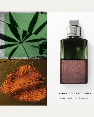 Dries Van Noten Cannabis Patchouli Eau de Parfum, 3.4 oz. | Thumbnail 2 Dries Van Noten Cannabis Patchouli Eau de Parfum, 3.4 oz. | Thumbnail 2