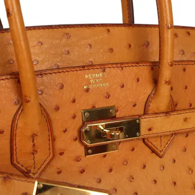 HERMÈS Pre-owned Hermes Birkin 35 Cognac Ostrich Gold Hardware | Thumbnail 7 HERMÈS Pre-owned Hermes Birkin 35 Cognac Ostrich Gold Hardware | Thumbnail 7