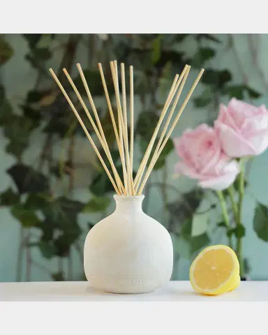 Blueme Renew Ivy & Rose Large Fragrance Diffuser, 16.9 oz. | Thumbnail 2 Blueme Renew Ivy & Rose Large Fragrance Diffuser, 16.9 oz. | Thumbnail 2