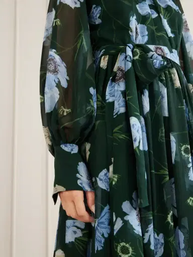 Erdem Floral-printed Silk-voile Gown | Thumbnail 4 Erdem Floral-printed Silk-voile Gown | Thumbnail 4