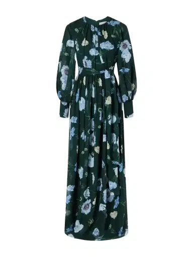 Erdem Floral-printed Silk-voile Gown | Thumbnail 1 Erdem Floral-printed Silk-voile Gown | Thumbnail 1