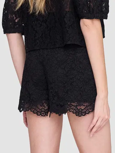 Anine Bing Women's Kam Lace Shorts - Black - Size XS | Thumbnail 3 Anine Bing Women's Kam Lace Shorts - Black - Size XS | Thumbnail 3
