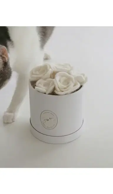 Catenary Home Flora Eterna Pet Toy Box | Thumbnail 2 Catenary Home Flora Eterna Pet Toy Box | Thumbnail 2