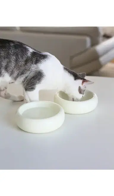 Catenary Home Halo Pet Bowl | Thumbnail 3 Catenary Home Halo Pet Bowl | Thumbnail 3