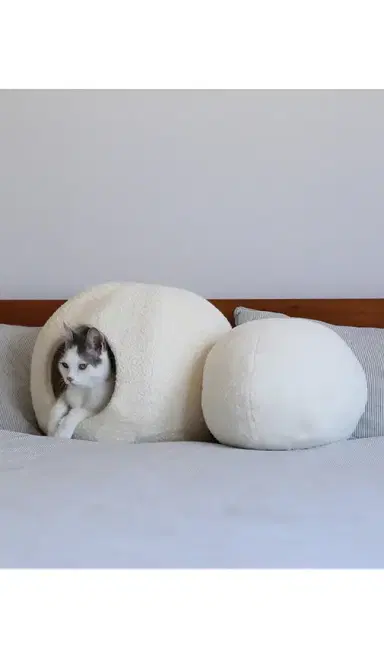 Catenary Home Moon Pet Cave | Thumbnail 3 Catenary Home Moon Pet Cave | Thumbnail 3