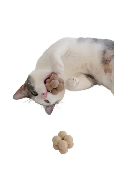 Catenary Home Enrichment Catnip Toys Set Of 3 | Thumbnail 2 Catenary Home Enrichment Catnip Toys Set Of 3 | Thumbnail 2