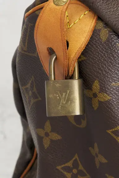 Louis Vuitton Monogram Speedy 30 Handbag | Thumbnail 5 Louis Vuitton Monogram Speedy 30 Handbag | Thumbnail 5