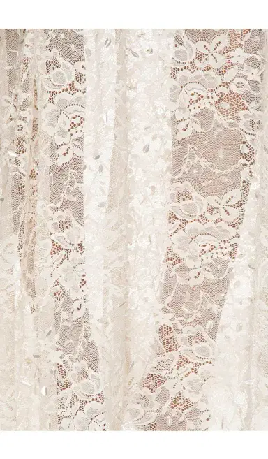 LA FUORI Champagne Lace Gown | Thumbnail 4 LA FUORI Champagne Lace Gown | Thumbnail 4