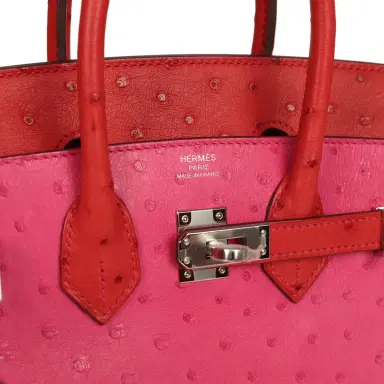 HERMÈS Hermes Birkin 25 Rose Tyrien, Rouge Vif Ostrich Touch Palladium Hardware | Thumbnail 7 HERMÈS Hermes Birkin 25 Rose Tyrien, Rouge Vif Ostrich Touch Palladium Hardware | Thumbnail 7