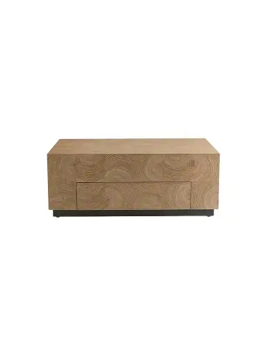 Arteriors Justice Single-Drawer Cocktail Table - Grey | Thumbnail 1 Arteriors Justice Single-Drawer Cocktail Table - Grey | Thumbnail 1
