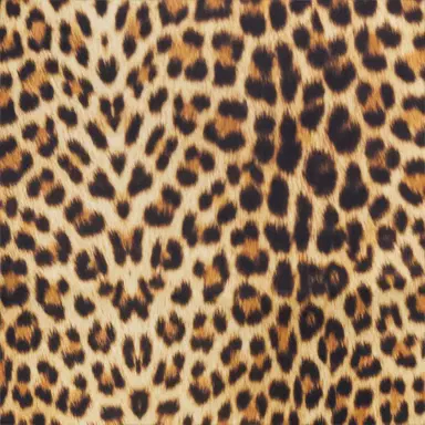 Roberto Cavalli Jaguar Print Leggings | Thumbnail 4 Roberto Cavalli Jaguar Print Leggings | Thumbnail 4