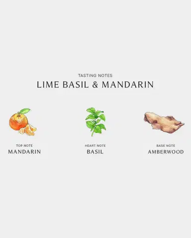 Jo Malone London Lime Basil & Mandarin Reed Diffuser, 5.6 oz. | Thumbnail 3 Jo Malone London Lime Basil & Mandarin Reed Diffuser, 5.6 oz. | Thumbnail 3