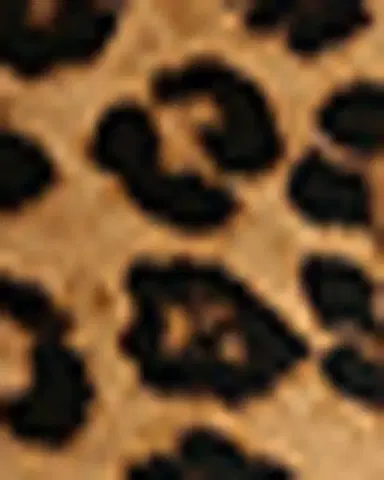 Mansur Gavriel Everyday Soft Leopard-Print Calf Hair Tote Bag | Thumbnail 3 Mansur Gavriel Everyday Soft Leopard-Print Calf Hair Tote Bag | Thumbnail 3