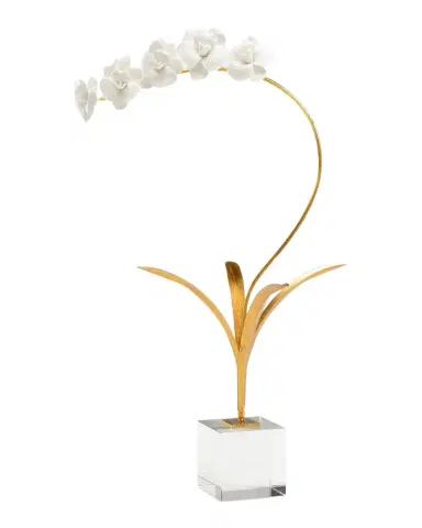 Chelsea House Orchid In Stand | Thumbnail 1 Chelsea House Orchid In Stand | Thumbnail 1
