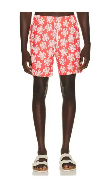 Trunks Surf & Swim Co. Sano 6.5 Swim Short | Thumbnail 1 Trunks Surf & Swim Co. Sano 6.5 Swim Short | Thumbnail 1
