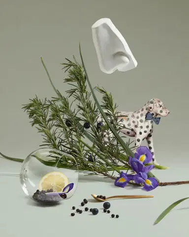 Penhaligon's Juniper Sling Eau de Toilette, 3.4 oz. | Thumbnail 4 Penhaligon's Juniper Sling Eau de Toilette, 3.4 oz. | Thumbnail 4