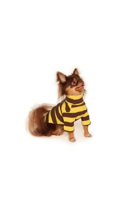 Little Beast Striped Shirt | Thumbnail 2 Little Beast Striped Shirt | Thumbnail 2