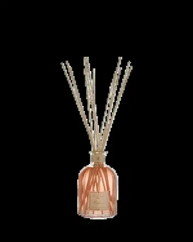 Dr. Vranjes Firenze Bellini Glass Bottle Collection Fragrance, 17 oz. | Thumbnail 2 Dr. Vranjes Firenze Bellini Glass Bottle Collection Fragrance, 17 oz. | Thumbnail 2