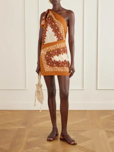 Johanna Ortiz Sun Traveller Printed Cotton-voile Mini Dress | Thumbnail 2 Johanna Ortiz Sun Traveller Printed Cotton-voile Mini Dress | Thumbnail 2