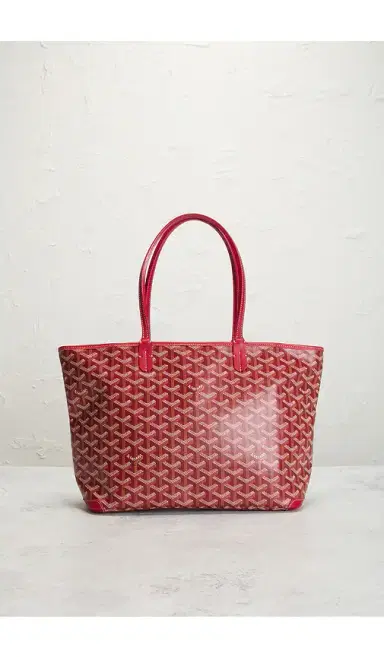 goyard Saint Louis PM Tote Bag | Thumbnail 12 goyard Saint Louis PM Tote Bag | Thumbnail 12