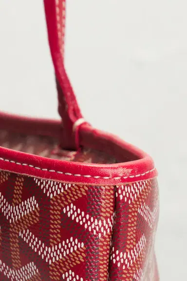 goyard Saint Louis PM Tote Bag | Thumbnail 9 goyard Saint Louis PM Tote Bag | Thumbnail 9