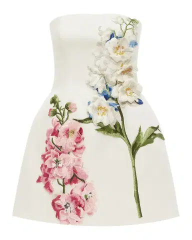 LEO LIN Roselle Strapless Embroidered Bustier Mini Dress | Thumbnail 1 LEO LIN Roselle Strapless Embroidered Bustier Mini Dress | Thumbnail 1