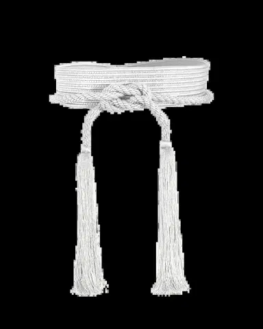 Judith Leiber Couture Corded Wrap Crystal Belt | Thumbnail 2 Judith Leiber Couture Corded Wrap Crystal Belt | Thumbnail 2