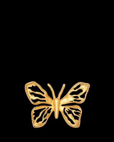 Oscar de la Renta Lace Butterfly Brooch | Thumbnail 2 Oscar de la Renta Lace Butterfly Brooch | Thumbnail 2