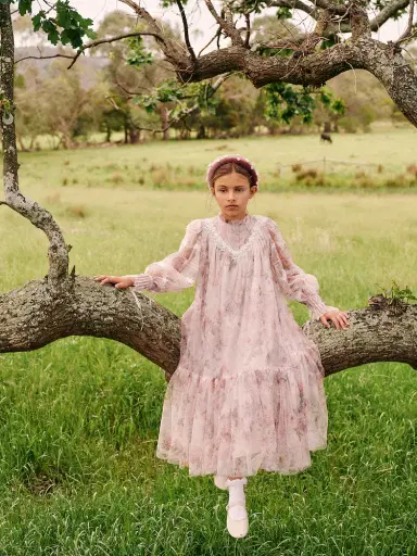 Petite Amalie Lace-trimmed floral tulle dress | Thumbnail 5 Petite Amalie Lace-trimmed floral tulle dress | Thumbnail 5