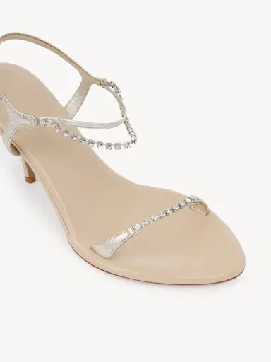 Chloé Zia heeled sandal | Thumbnail 6 Chloé Zia heeled sandal | Thumbnail 6