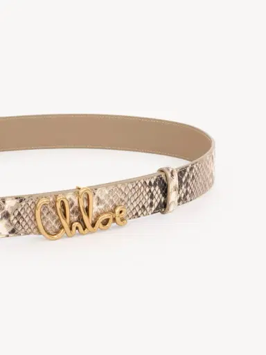 Chloé The Chloé Iconic belt | Thumbnail 3 Chloé The Chloé Iconic belt | Thumbnail 3