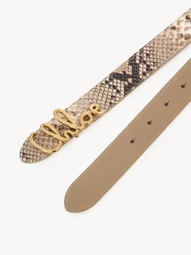 Chloé The Chloé Iconic belt | Thumbnail 5 Chloé The Chloé Iconic belt | Thumbnail 5