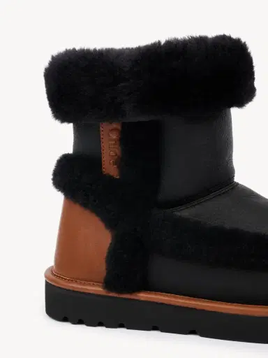 Chloé Dolcie ankle boot | Thumbnail 4 Chloé Dolcie ankle boot | Thumbnail 4