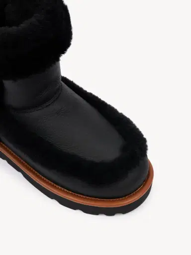 Chloé Dolcie ankle boot | Thumbnail 5 Chloé Dolcie ankle boot | Thumbnail 5