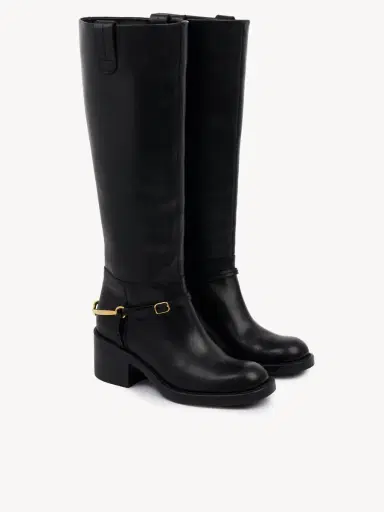 Chloé Dakota boot | Thumbnail 4 Chloé Dakota boot | Thumbnail 4
