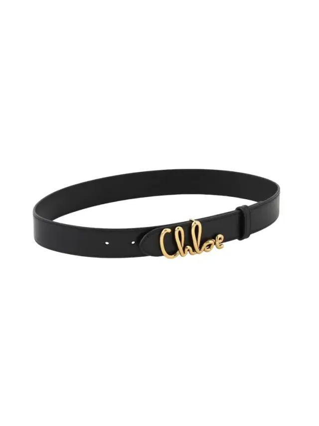 The Chloé Iconic belt The Chloé Iconic belt