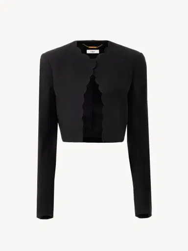 Chloé Cropped Spencer jacket in soft cavalry cotton | Thumbnail 2 Chloé Cropped Spencer jacket in soft cavalry cotton | Thumbnail 2