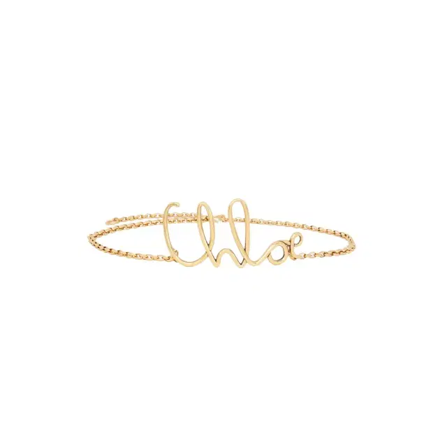The Chloé Iconic small belt The Chloé Iconic small belt