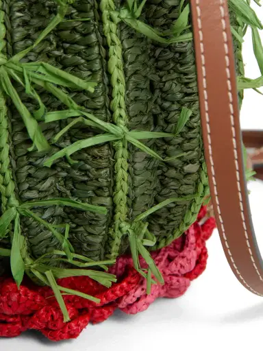 Anya Hindmarch Raffia Cactus Crossbody Bag | Thumbnail 5 Anya Hindmarch Raffia Cactus Crossbody Bag | Thumbnail 5
