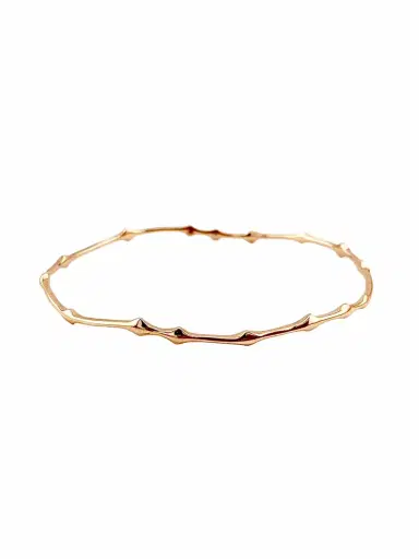 REIGN LA Rani Thorn Bangle | Thumbnail 1 REIGN LA Rani Thorn Bangle | Thumbnail 1