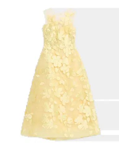 Monique Lhuillier Sleeveless Floral Tulle Illusion Tea-Length Dress | Thumbnail 5 Monique Lhuillier Sleeveless Floral Tulle Illusion Tea-Length Dress | Thumbnail 5