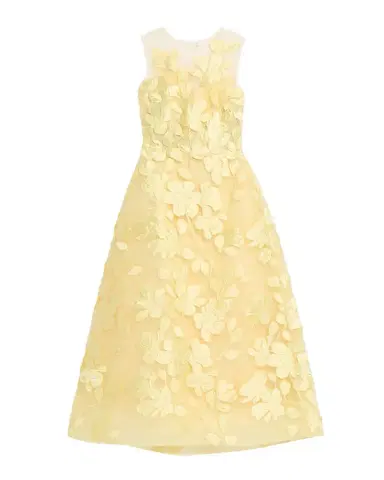 Monique Lhuillier Sleeveless Floral Tulle Illusion Tea-Length Dress | Thumbnail 1 Monique Lhuillier Sleeveless Floral Tulle Illusion Tea-Length Dress | Thumbnail 1