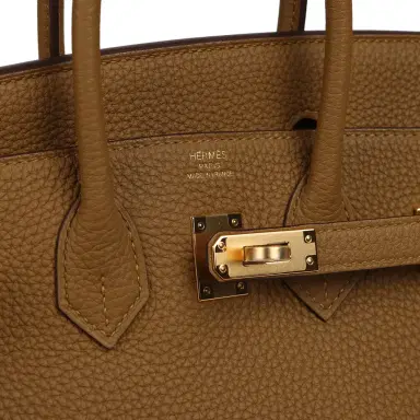 HERMÈS Hermes Birkin 25 Bronze D'ore Togo Gold Hardware | Thumbnail 7 HERMÈS Hermes Birkin 25 Bronze D'ore Togo Gold Hardware | Thumbnail 7