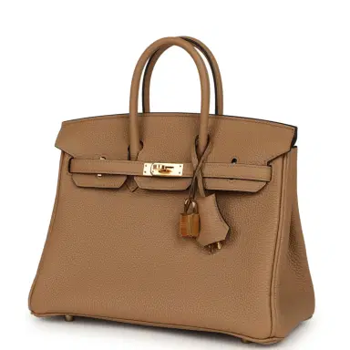 HERMÈS Hermes Birkin 25 Chai Togo Gold Hardware | Thumbnail 5 HERMÈS Hermes Birkin 25 Chai Togo Gold Hardware | Thumbnail 5
